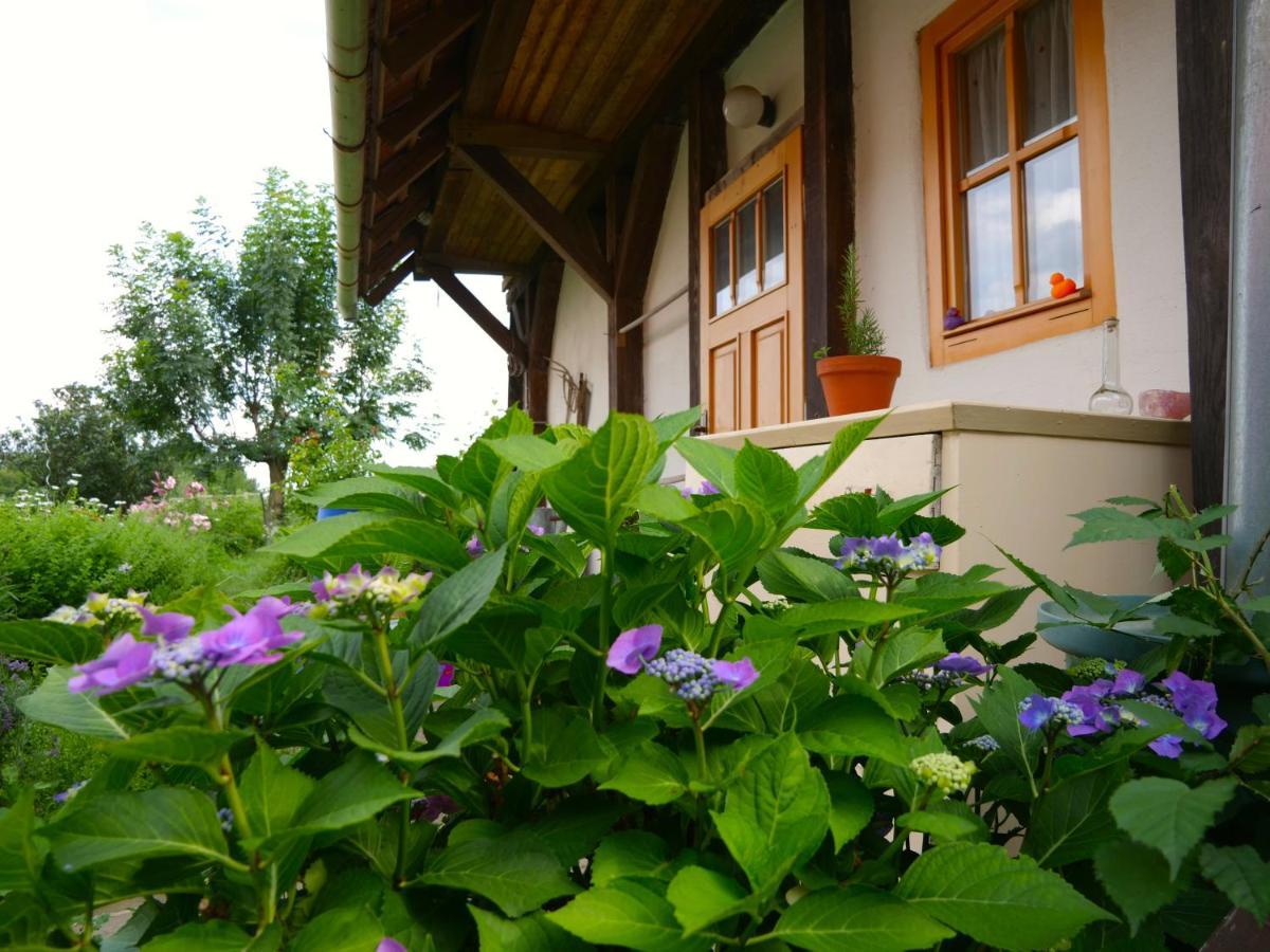 Selanka Off Road Hill View Hotel Moravske Lieskove Exterior photo